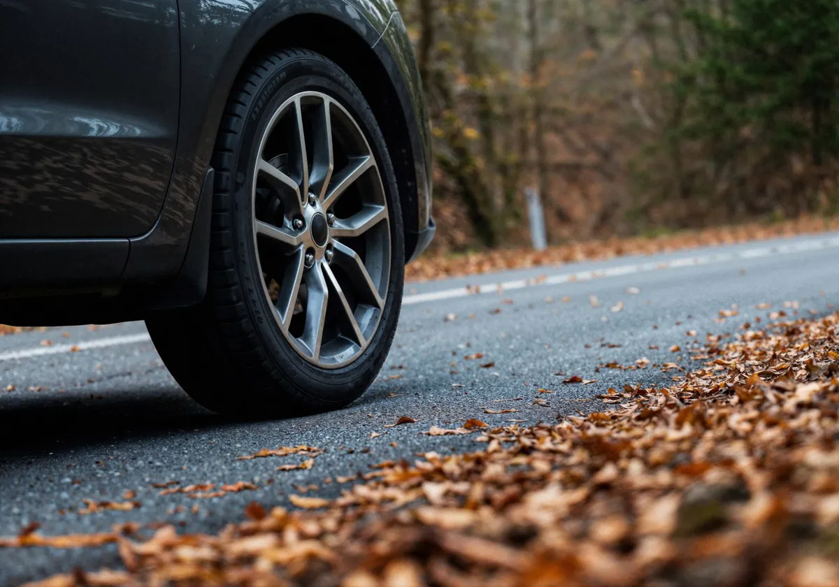 Car Wheel Road Covered With Autumn Leaves 1429X1000